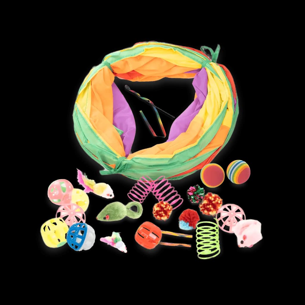 Set juegos para gatos 24 unidades