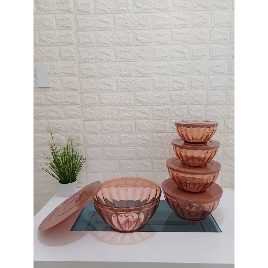 Set de bowls x5 con tapa
