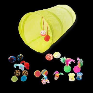 Set juegos para gatos 21 unidades