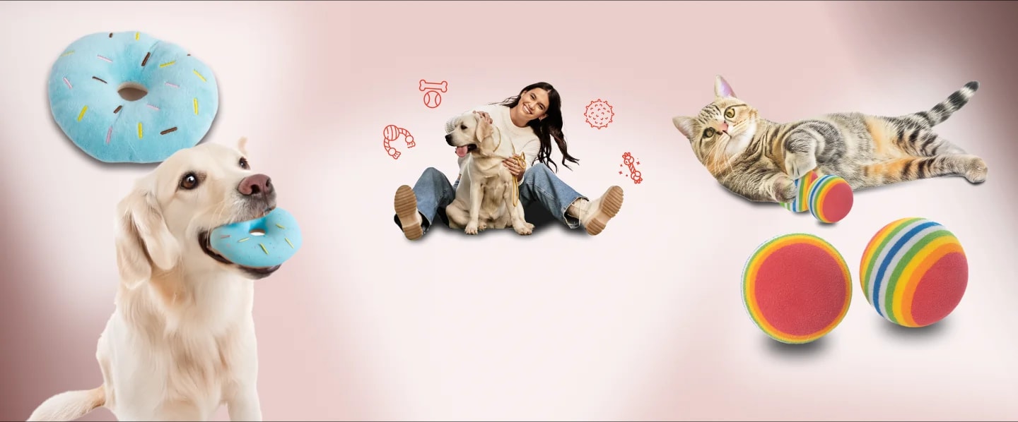 Juguetes y accesorios pensados para el bienestar y la felicidad de tu mascota