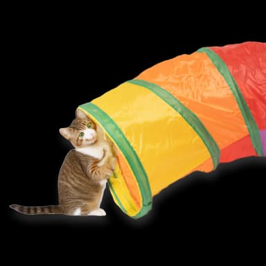 Set juegos para gatos 24 unidades